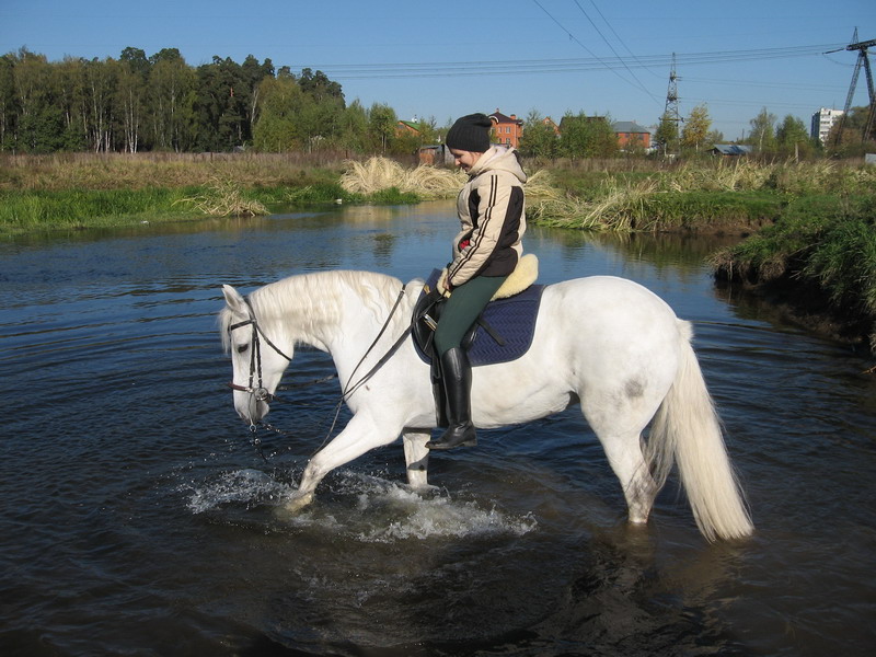 IMG_1247.jpg1.jpg"%20height="600"%20width="800